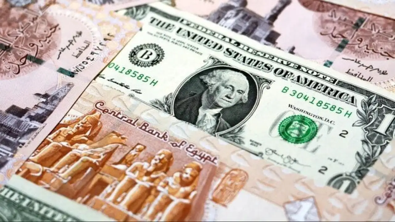 سعر الدولار يتزايد مقابل الجنيه المصري في تعاملات السبت